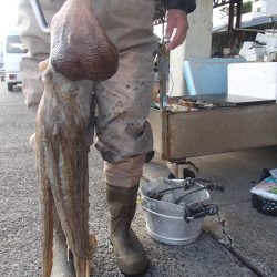 久六釣船 釣果