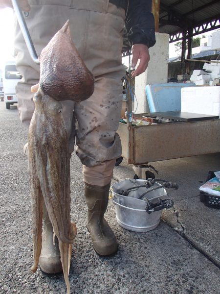 久六釣船 釣果