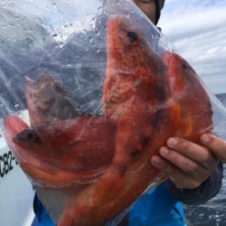 松栄丸 釣果