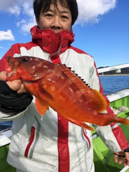 松栄丸 釣果