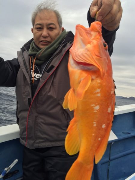 松栄丸 釣果