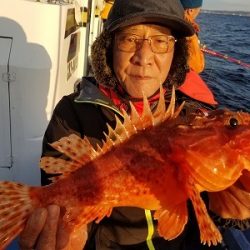 しまや丸 釣果