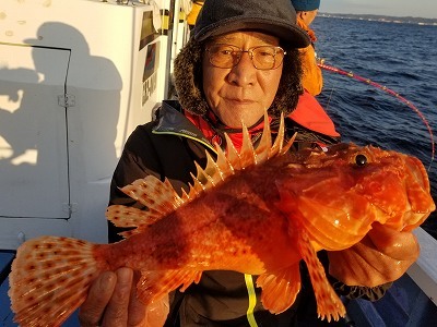 しまや丸 釣果