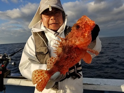 しまや丸 釣果