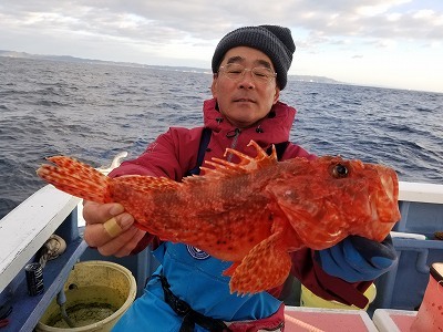 しまや丸 釣果