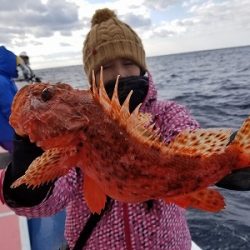 しまや丸 釣果