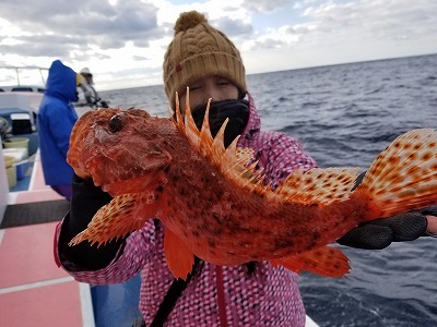 しまや丸 釣果