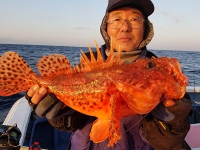 しまや丸 釣果