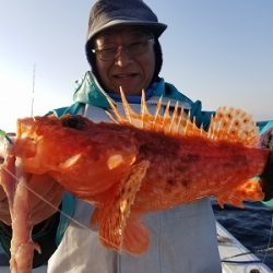 しまや丸 釣果