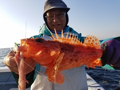 しまや丸 釣果