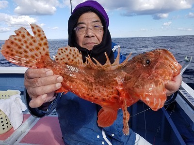 しまや丸 釣果