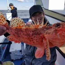 しまや丸 釣果