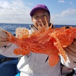 しまや丸 釣果