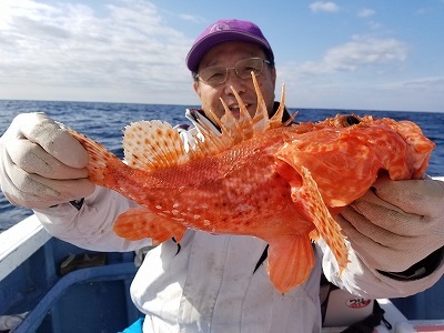 しまや丸 釣果