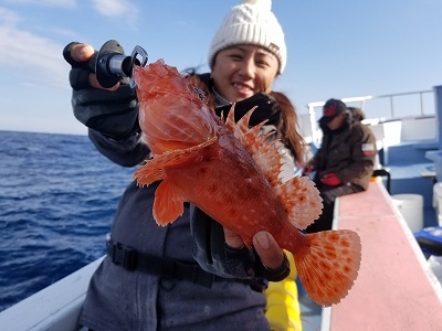 しまや丸 釣果