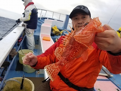 しまや丸 釣果