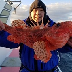 しまや丸 釣果