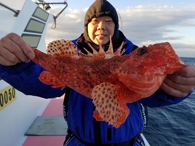 しまや丸 釣果