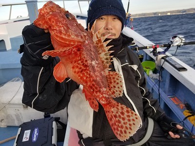 しまや丸 釣果