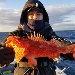 しまや丸 釣果