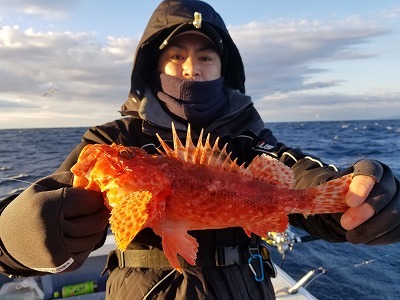 しまや丸 釣果