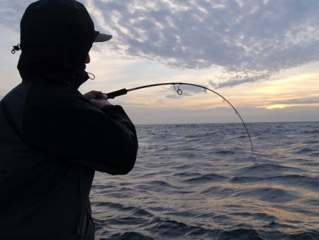 松鶴丸 釣果