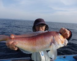 久里浜黒川本家 釣果