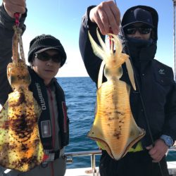 まると屋 釣果