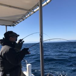 まると屋 釣果