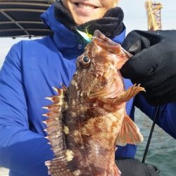 めだか屋 釣果