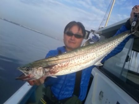 さわ浦丸 釣果