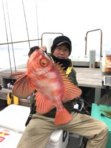 たいし丸 釣果