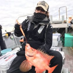 たいし丸 釣果