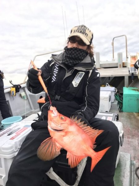 たいし丸 釣果