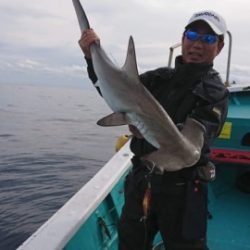 たいし丸 釣果