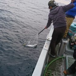 たいし丸 釣果