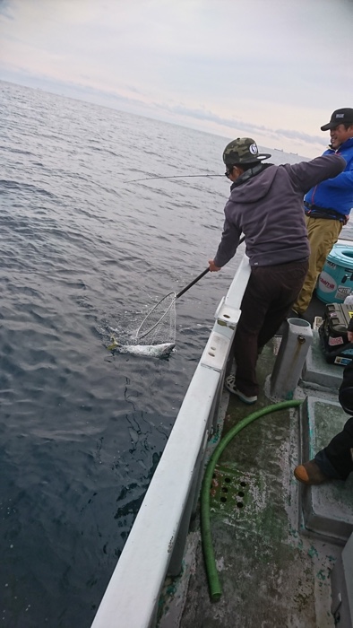 たいし丸 釣果