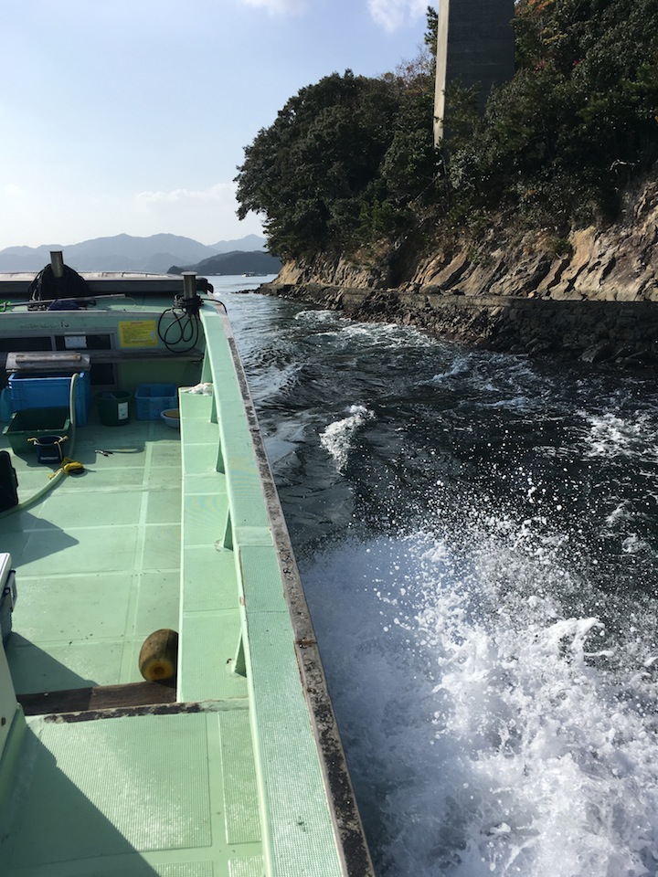 徳島・鳴門海峡でのサワラ釣り