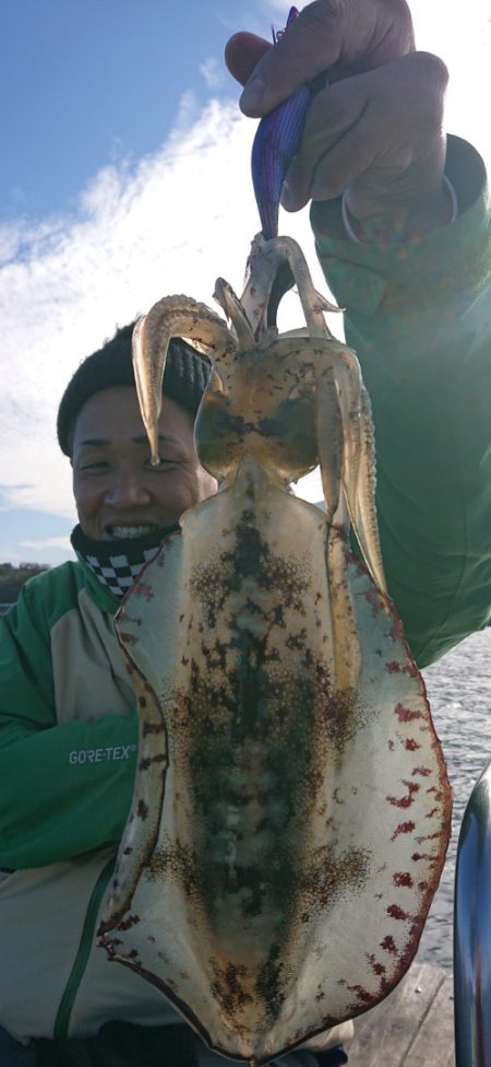 シースナイパー海龍 釣果