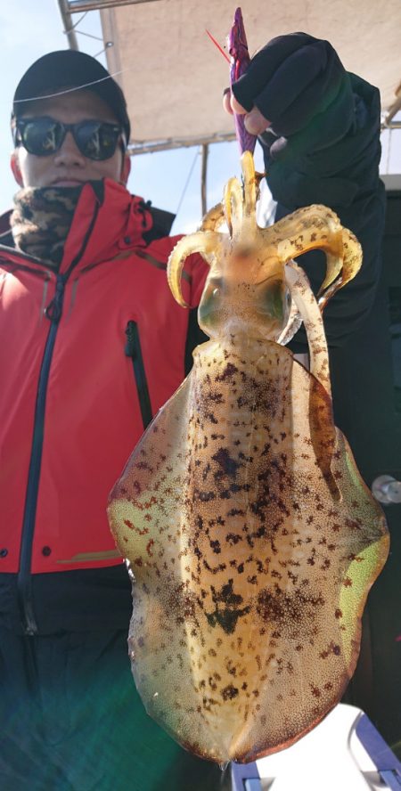 シースナイパー海龍 釣果