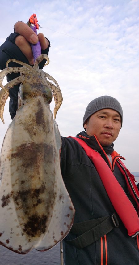 シースナイパー海龍 釣果