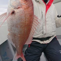 だて丸 釣果