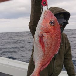 だて丸 釣果