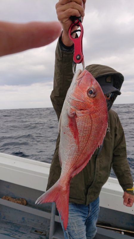 だて丸 釣果