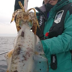 シースナイパー海龍 釣果