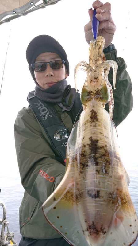 シースナイパー海龍 釣果