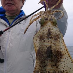 シースナイパー海龍 釣果