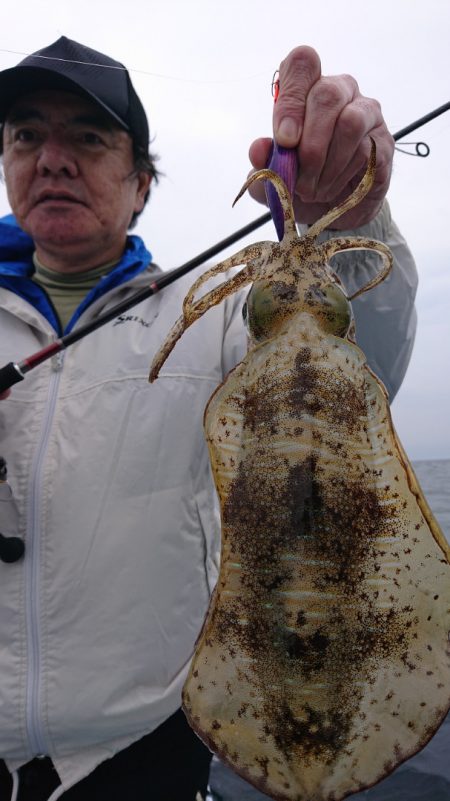 シースナイパー海龍 釣果