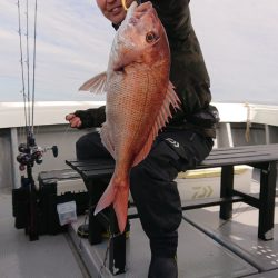 だて丸 釣果