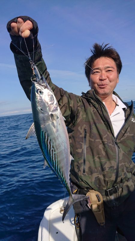 だて丸 釣果